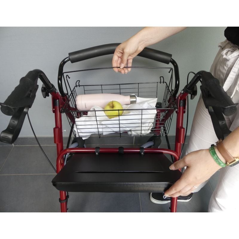 Ausilium Victor - Deambulatore Doppia Funzione con Sedile Imbottito e Freni