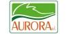 Aurora srl