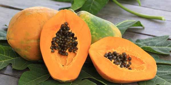 I benefici della Papaya Fermentata
