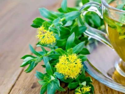 Rhodiola rosea: proprietà, usi e benefici per l'organismo