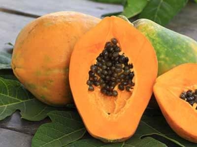 I benefici della Papaya Fermentata